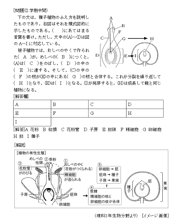 FdData中学中間期末過去問集